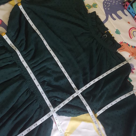 teal green swiss dot chiffon high neck gathered waist long sleeve dress - Picture 5 of 6